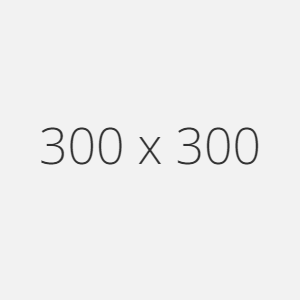300x300